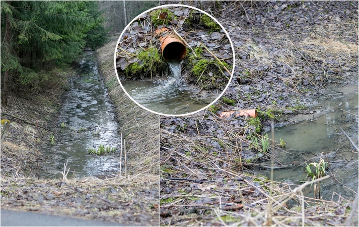 Tarša: į melioracijos griovį bėga, kaip įtariama, nevalytos nuotekos.