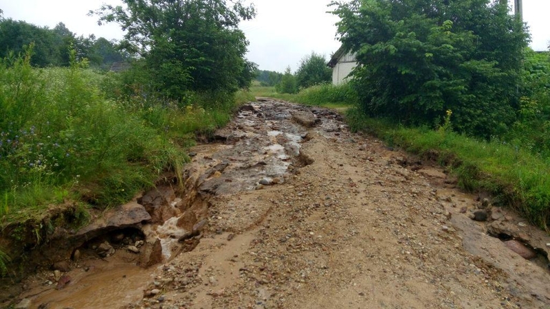 Lietaus „išdaigos“ nesibaigia: užpylė lifto šachtą ir išvartė medžius