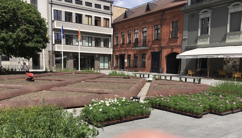 Keičiasi miesto gėlynai: netrukus Kaunas sužydės kitomis spalvomis