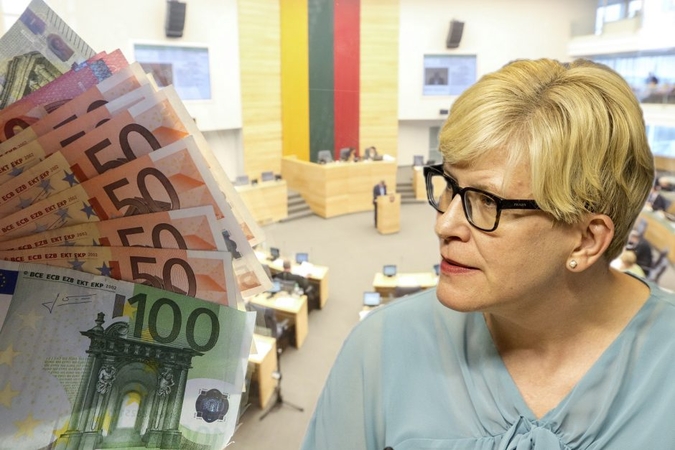 I. Šimonytė: visuomenė turėtų būti suinteresuota didesniais Seimo narių atlyginimais