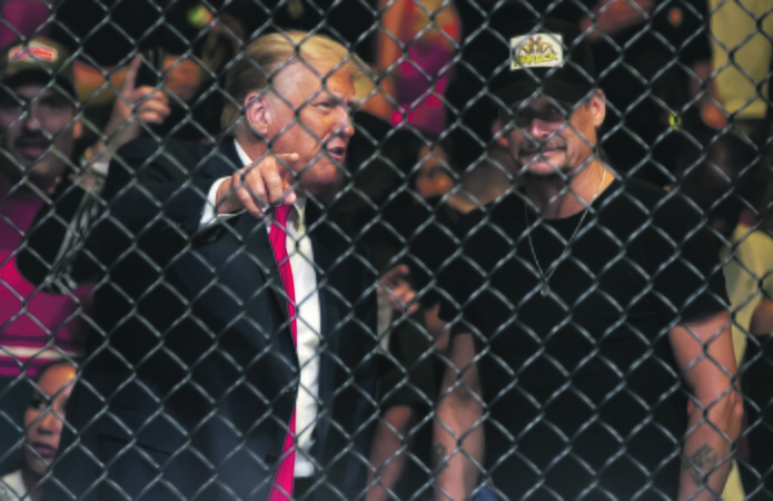 D. Trumpo teisinės problemos