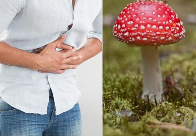 Grybų sezonas prasideda: kaip gelbėtis apsinuodijus?