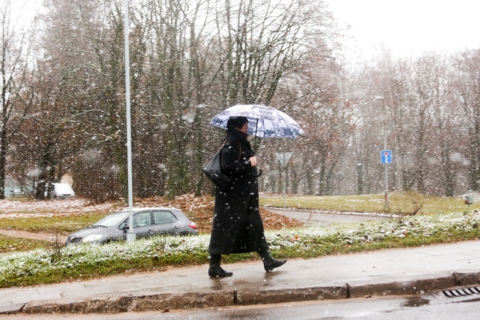 Prognozės: kada pasirodys pirmosios snaigės?