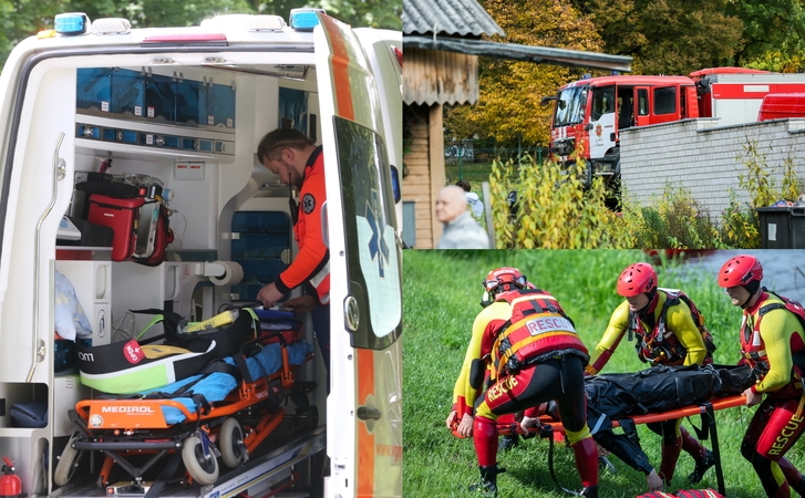 Kaimynų braškės vos nekainavo senjorei gyvybės