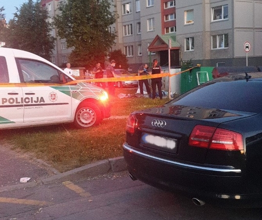 Aiškėja daugiau detalių apie Šiauliuose nužudytą ir į kilimą susuktą paauglę