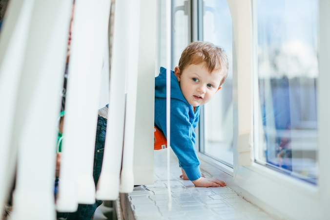 Sumaišties Šilainiuose kaltininkė – pramogaujanti katė ar nerūpestinga mama?