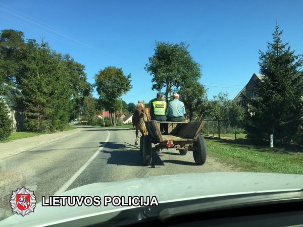 Policininkei teko vadelioti pažeidėjo arklį