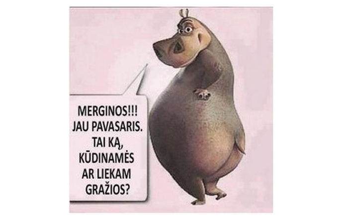 "Bumčikas" – žudymo įrankis?