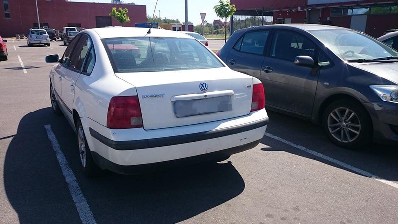 Uostamiestyje rastas šuns skriaudėjas