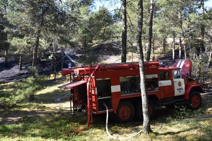 Neringos miškuose siautėja padegėjas