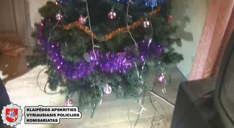 Namą apšvarinę broliai pasipuošė pavogtą eglutę