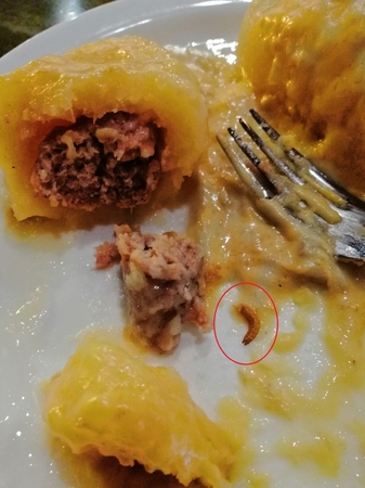 Pasišlykštėjo: cepelinų padaže – kirmėlė