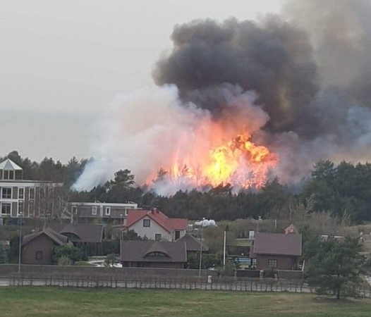 Ugnis niokojo pajūrio mišką