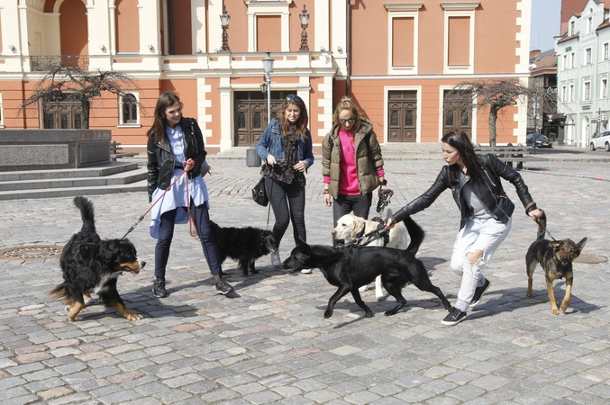 Uostamiesčio kavinėse ir įstaigose „šunininkai“ laukiami