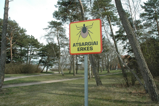 Vilniaus parkuose išbandomos erkių gaudyklės