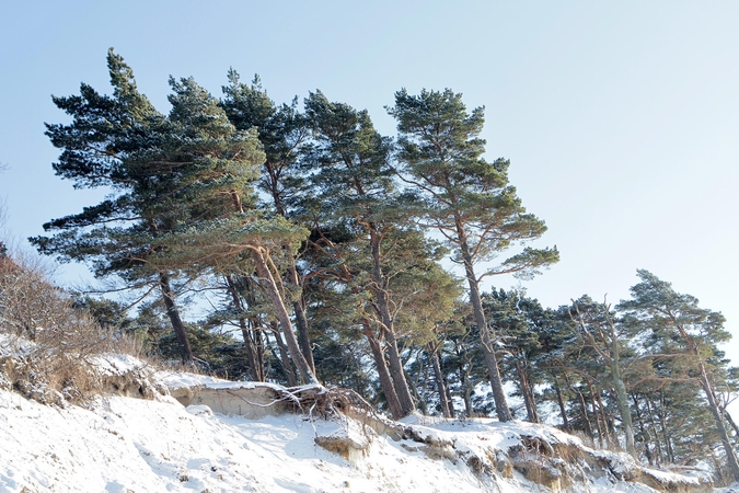 Baudos pažeidėjų neatgraso – dėl adrenalino važinėjasi ir rezervatuose