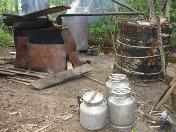 Tradicijos: Žemaitijoje nuo seno įprasta gaminti naminę degtinę, kai kurie žmonės tai daro miškuose, tačiau kai kas nesibaimina bravoro įsirengti sodyboje.