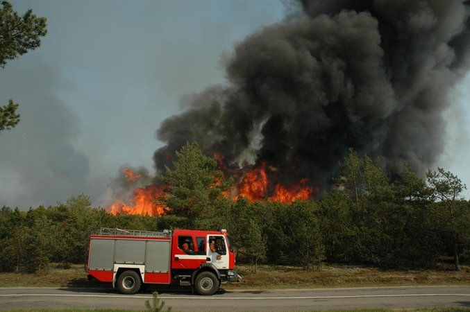 Kuršių nerijoje kilęs gaisras virto sąmokslu