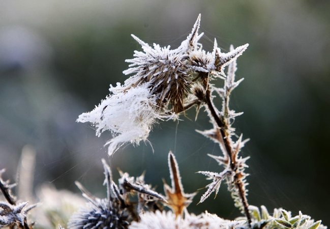 Prognozė: kitą savaitę spustelės šaltukas, jutiminė oro temperatūra sieks net iki 20 laipsnių žemiau nulio.