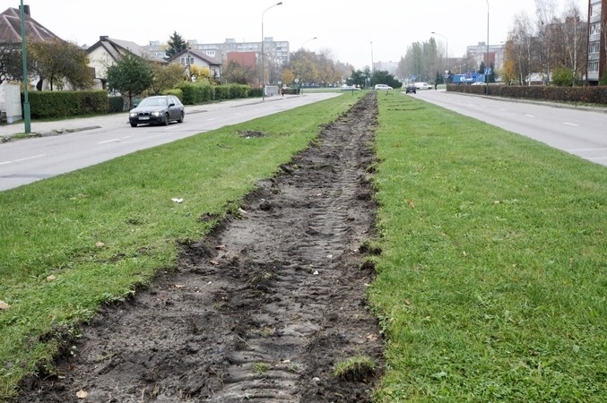 Statybininkų prospekte – nauja gyvatvorė