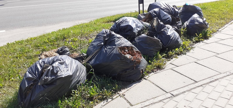 Tikimybė: juodi maišai tikriausiai sulauks žiemos, o kai bus apsnigti – nesimatys.