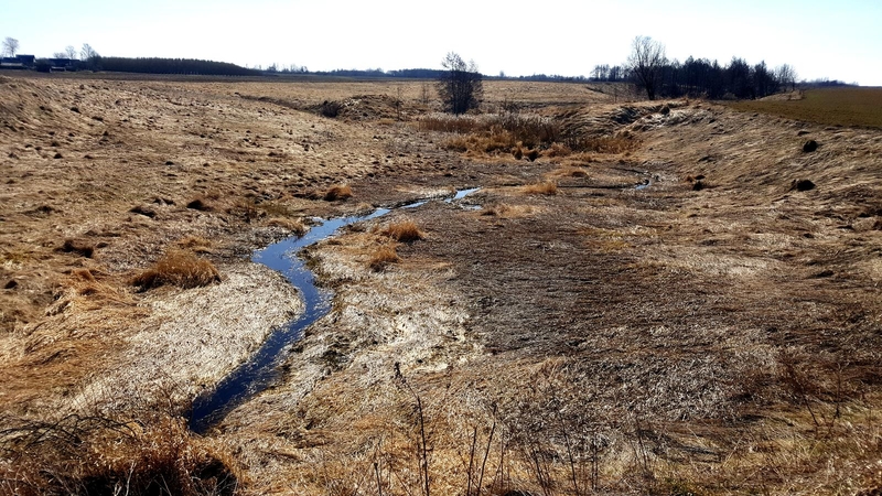 Realybė: Puodašikinis labiau panašus ne į upę, o į kanalą.