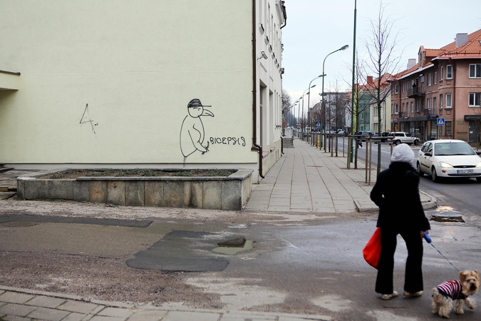 Pelikanų „dailininkai“ siaučia toliau