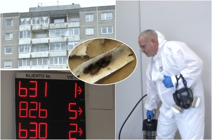 Lietuvą masiškai apniko klastingi kraujasiurbiai: iki pandemijos – vienas žingsnis?
