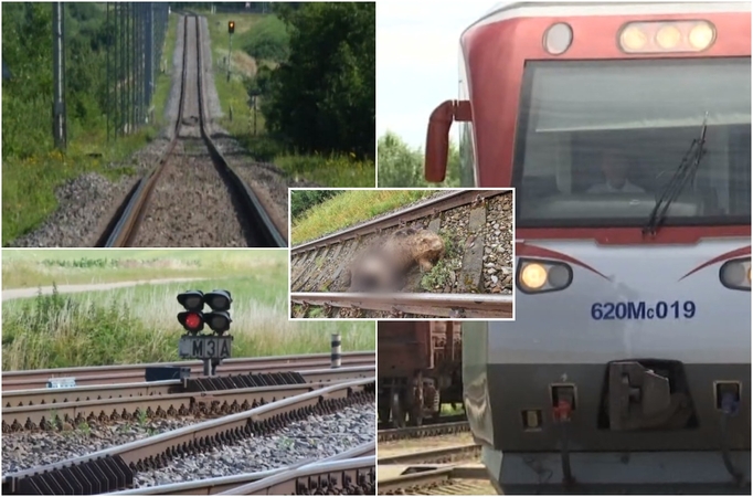 Slogios nuotaikos – ant bėgių žuvo du vyrai ir lokys: vienam mašinistui tai jau antras įvykis šiemet