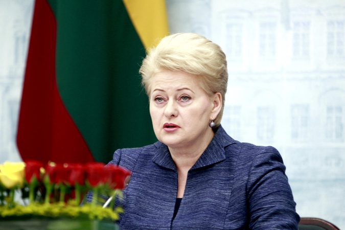 Prezidentė pareiškė užuojautą dėl lėktuvo katastrofos Kazanėje