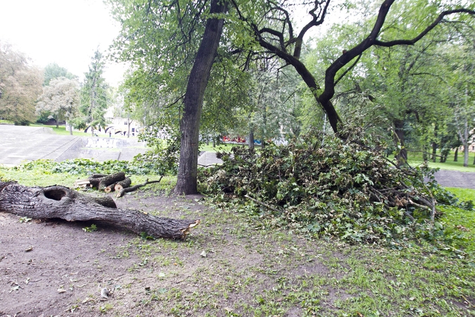 Škvalo padariniai Reformatų parke savivaldybės nedomina