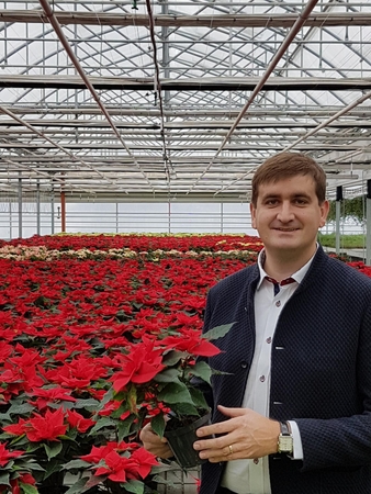 Pasak M.Muižiniko, gruodį viena populiariausių gėlių yra puansetija.