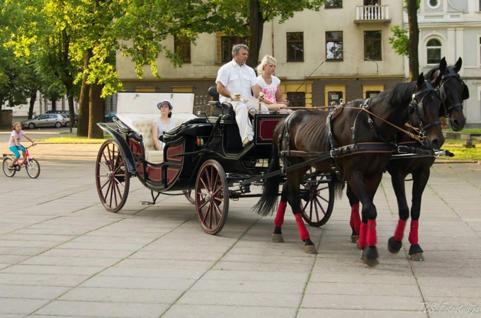 Laisvės alėjoje kauniečiai nemokamai važinėsis karieta 