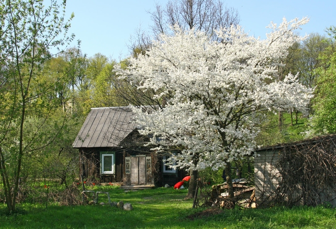 Lietuviai traukia į gamtą