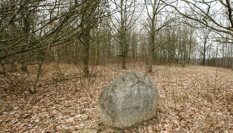 Nepriklausomybės parkas virsta kemsynais