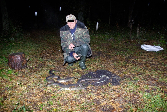 Už penkis ungurius brakonieriams teks atlyginti daugiau nei 5 tūkst. litų žalą