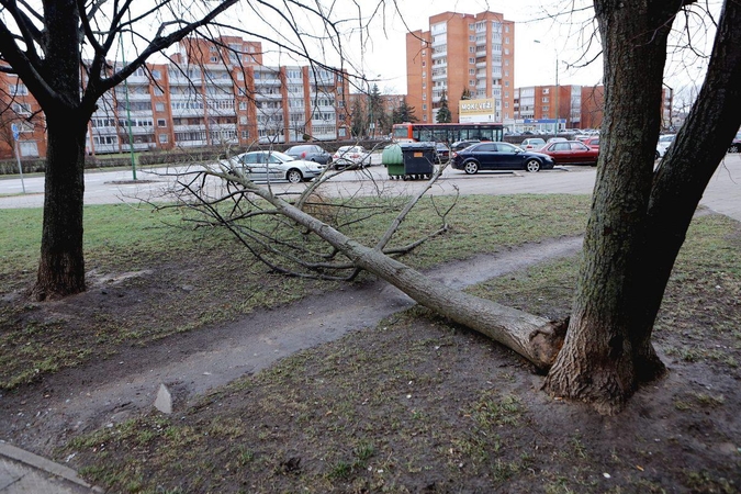 Draudikai skaičiuoja įspūdingus uragano nuostolius