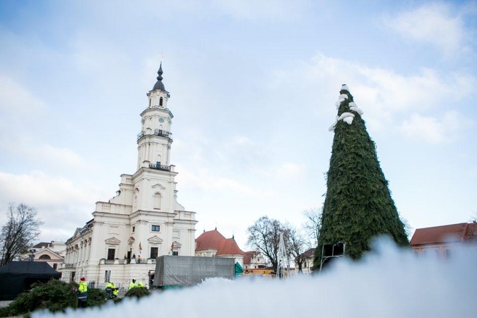 Paaiškėjo, kas diriguos Kauno Kalėdų eglės įžiebimo renginiui