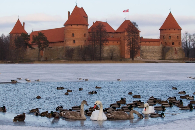 Trakai prašo karantino metu nepaversti jų pasivaikščiojimų zona