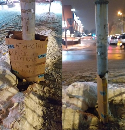 Perspėja dėl pavojingo stulpo Vilniuje: vieną šunį elektra jau nukrėtė mirtinai
