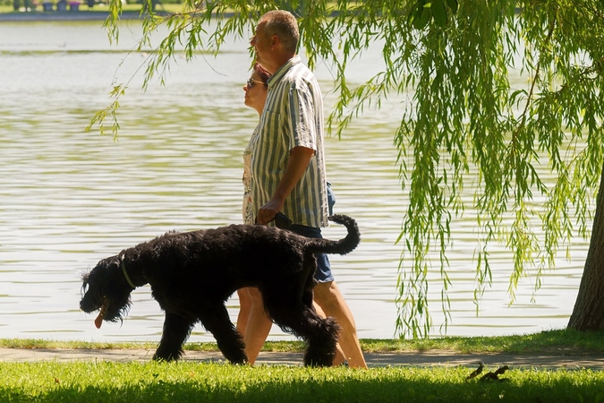 Vasara su augintiniu ir be rūpesčių
