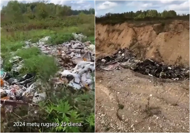 „Žiurkių“ verslas laimi prieš tarnybas: atsakė, kodėl iki šiol klesti ši grupuotė