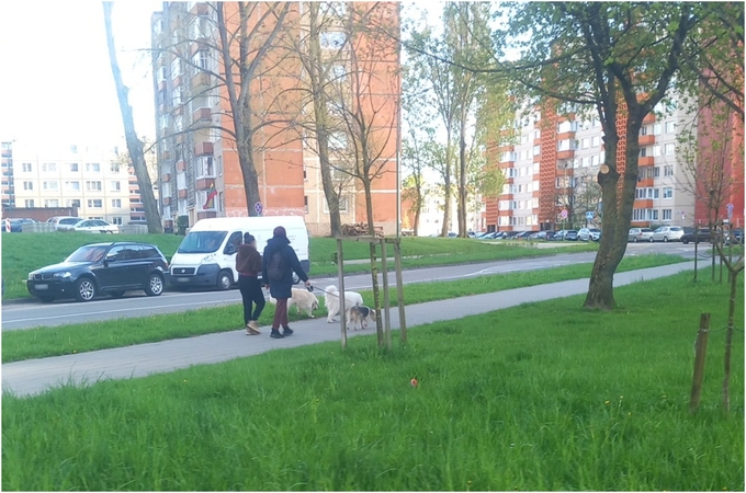 Pažeidimas: žmonės prarado atsakomybės jausmą – vis dažniau nepaiso miesto viešosios tvarkos taisyklių ir augintinius vedžioja be pavadėlių.