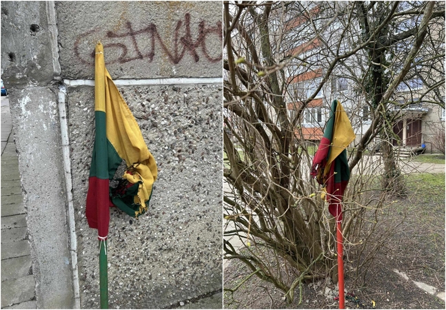Vėliavų degintojas – V. Putino gerbėjas?