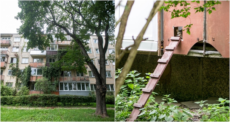 Sąskaita šokiravo: kiek Kaune kainuoja blusa?