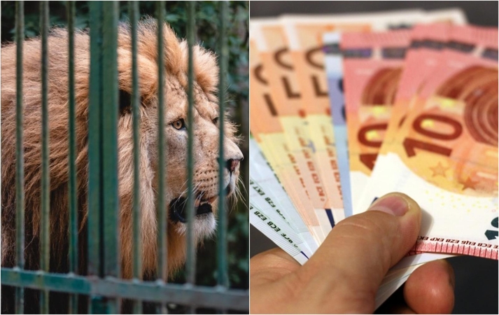 Kyšį siūliusiam zoologijos sodo darbuotojui – 9 tūkst. eurų bauda