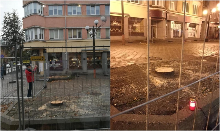 Teismas atsisakė laikinai stabdyti medžių kirtimą Šiauliuose