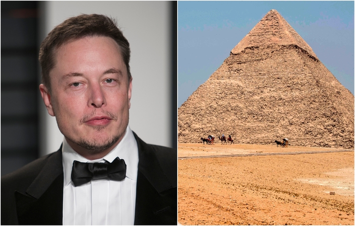 Elonas Muskas