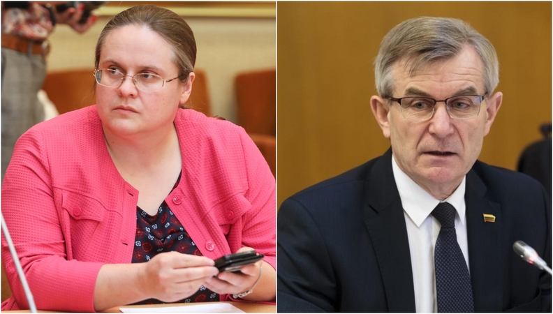 V. Pranckietis kaltinamas veikimu prieš valdančiąją koaliciją