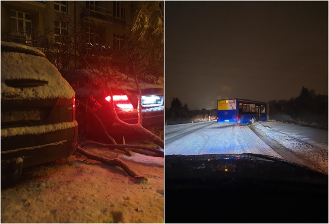 Stichija smogė pajūriui: virto medžiai, slydo automobiliai